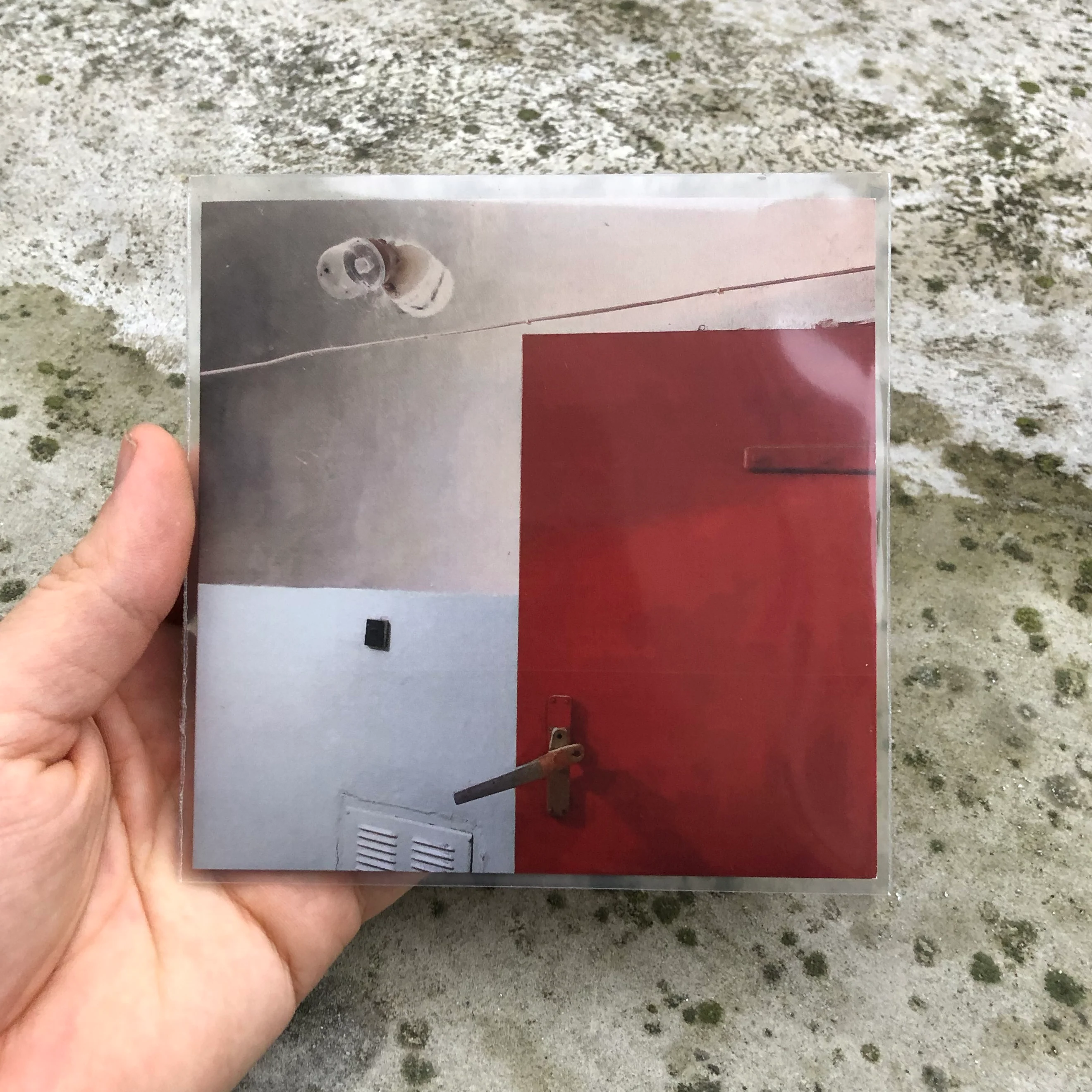 Tijana Stanković — Freezer - Image 3